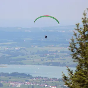 Weber Alpenglück Apartment